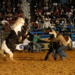 Cowboys Of Color Rodeo – Just another WordPress site